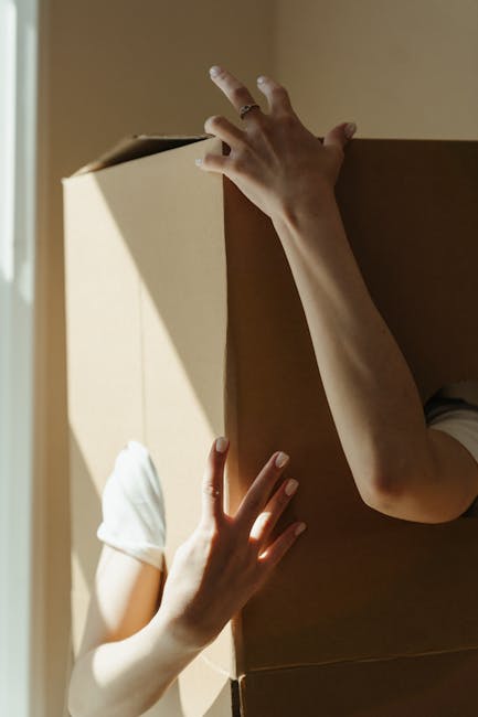 The image shows two individuals during a home relocation process, with one person lifting a large cardboard moving box, revealing part of their white sleeve, while the other person's hand, partially v