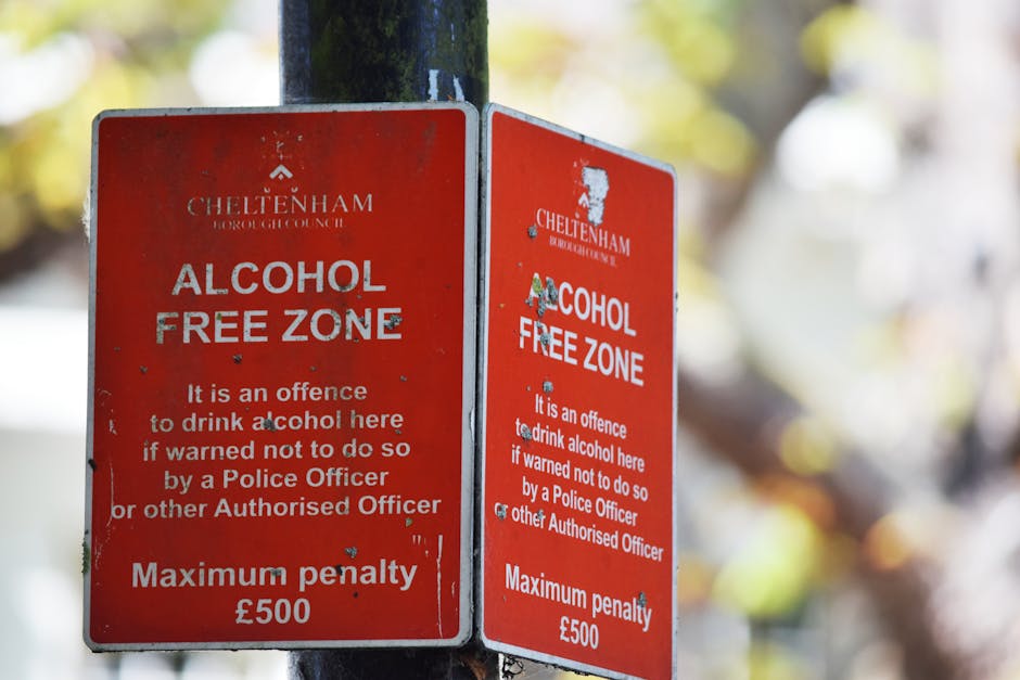 Two red Cheltenham Borough Council alcohol-free zone signs are mounted on a black metal pole outdoors, with a blurred background featuring sunlight filtering through trees. The signs clearly display t